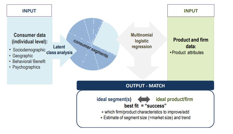 Figure 1: The success analysis model at a glance