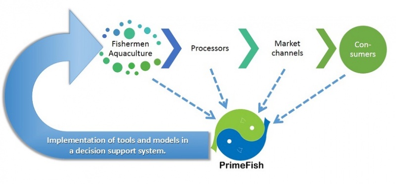File:Project primefish.jpg
